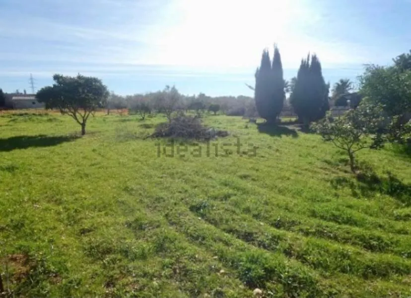 Casa rural Las Marismas Llucmajor