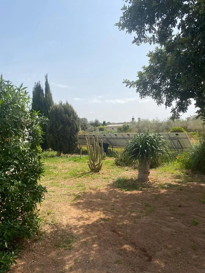 Casa rural Las Marismas Llucmajor  Сasa de vacaciones